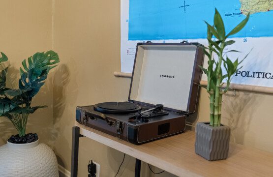 cairo st bungalow living room record player plant map