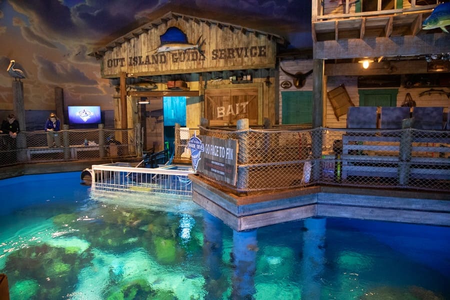 Wonders of Wildlife National Museum & Aquarium 2 Wonders of Wildlife National Museum & Aquarium 2