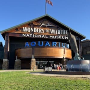 Wonders of Wildlife National Museum & Aquarium 3