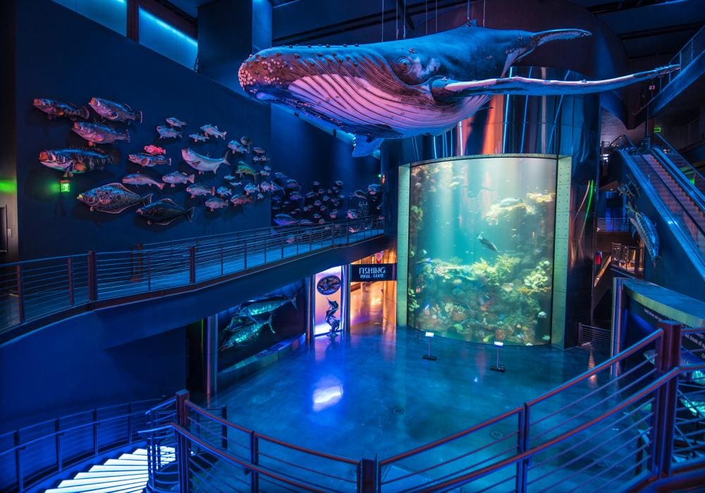 Wonders of Wildlife National Museum & Aquarium Wonders of Wildlife National Museum & Aquarium